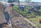 Alunos do IFMT participam de práticas em campo no Polo de Irrigação Araguaia Xingu