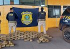 PRF apreende 76 tabletes de skunk escondidos em compressor na BR-070, em Barra do Garças