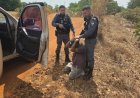 Polícia prende suspeito de homicídio em fazenda na zona rural de Cocalinho