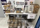 PM APREENDE 11 PÁSSAROS SILVESTRES E GAIOLAS DURANTE ATENDIMENTO DE PERTURBAÇÃO DO SOSSEGO EM CANARANA