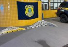PRF apreende quase 66 kg de drogas na BR-070 em Barra do Garças