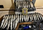 Polícia Civil de Canarana apreende pescado e materiais durante denúncia de pesca predatória no Rio Tanguro