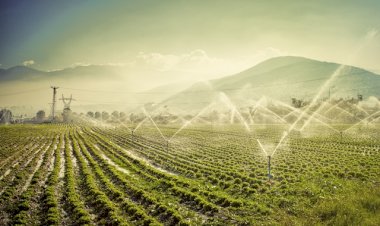 IRRIGAÇÃO É ALTERNATIVA CONTRA SECA HISTÓRICA EM MATO GROSSO