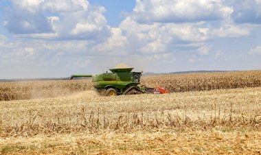 Safra de segunda temporada em Canarana apresenta números expressivos e crescimento em produtividade