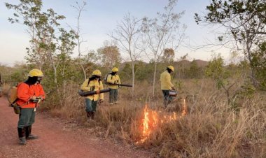 Canarana decreta Situação de Emergência devido ao risco de incêndios e impactos da estiagem prolongada