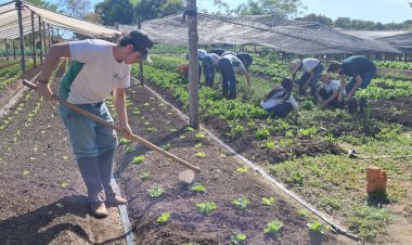 Alunos do IFMT participam de práticas em campo no Polo de Irrigação Araguaia Xingu