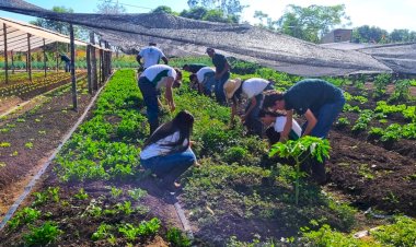 Polo de Irrigação Araguaia-Xingu transforma o agro de Canarana e fortalece a sustentabilidade no Vale do Araguaia