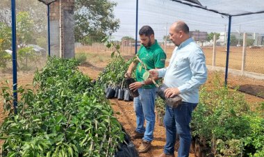 IFMT de Canarana amplia projeto de irrigação e aposta na diversificação de culturas