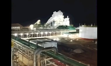 Alvorada Bioenergia inicia comissionamento da caldeira