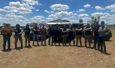 Ação integrada da Polícia Civil, PMMT e PMGO desarticula esquema de furto de gado em Canarana