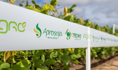 Aprosoja MT destaca papel da ciência no campo como pilar da sustentabilidade em Mato Grosso