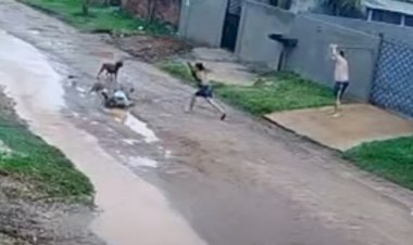 Idoso de 67 anos é atacado por dois cães em via pública em Comodoro