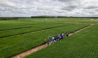 Aprosoja MT realiza visitas técnicas no CTECNO Parecis e Araguaia e Giro de Pesquisa no Vale do Guaporé