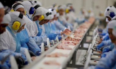 Doze municípios de Mato Grosso ficaram entre os 100 municípios brasileiros que mais exportaram