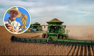 Safra 2025/2026 avança em Canarana com boa produtividade e cautela dos produtores