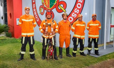 Cão farejador localiza vestimentas e reforça buscas por homem desaparecido em Canarana