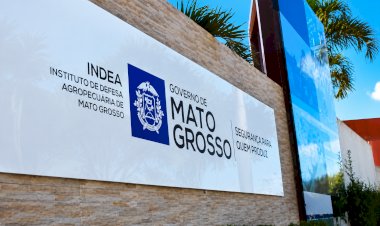 Indea inicia modernização do Sindesa e sistema fica indisponível por quatro dias em agosto
