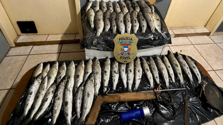 Polícia Civil de Canarana apreende pescado e materiais durante denúncia de pesca predatória no Rio Tanguro