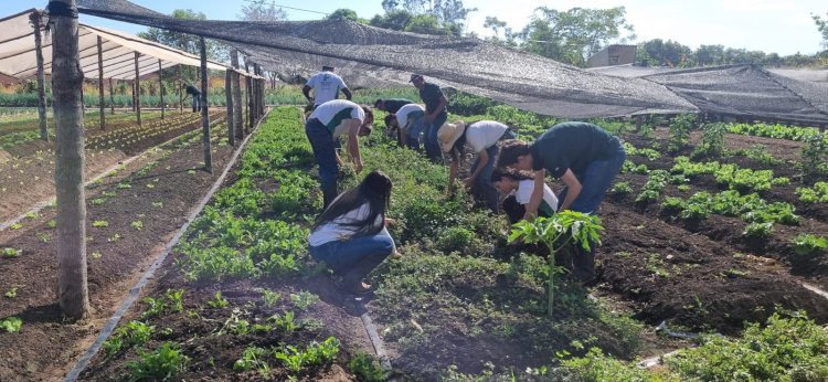 Alunos do IFMT participam de práticas em campo no Polo de Irrigação Araguaia Xingu
