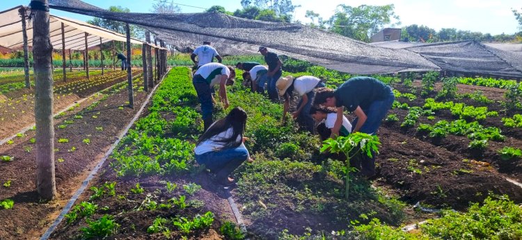 Polo de Irrigação Araguaia-Xingu transforma o agro de Canarana e fortalece a sustentabilidade no Vale do Araguaia