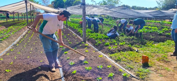Polo de Irrigação Araguaia-Xingu transforma o agro de Canarana e fortalece a sustentabilidade no Vale do Araguaia