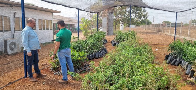 IFMT de Canarana amplia projeto de irrigação e aposta na diversificação de culturas