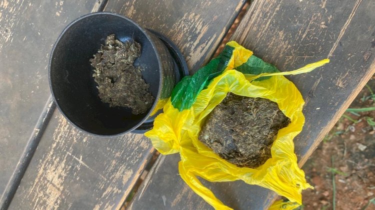 POLÍCIA CIVIL DESCOBRE CULTIVO DE MACONHA EM RESIDÊNCIA DO BAIRRO NOVA ESPERANÇA
