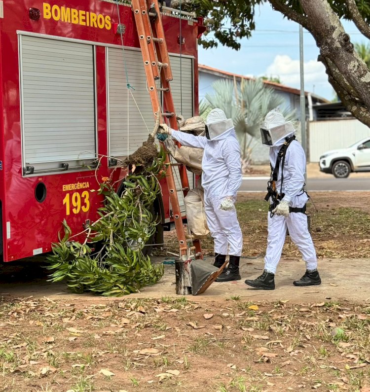 Corpo de Bombeiros Militar de Água Boa ultrapassa a marca de mil atendimentos em 4 meses.