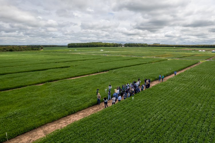Aprosoja MT realiza visitas técnicas no CTECNO Parecis e Araguaia e Giro de Pesquisa no Vale do Guaporé
