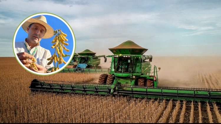 Safra 2025/2026 avança em Canarana com boa produtividade e cautela dos produtores