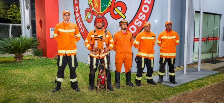 Cão farejador localiza vestimentas e reforça buscas por homem desaparecido em Canarana