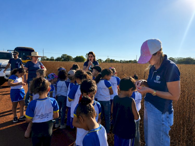 Projeto de Escola Municipal Surpreende ao aproxima crianças da realidade do gergelim em Canarana