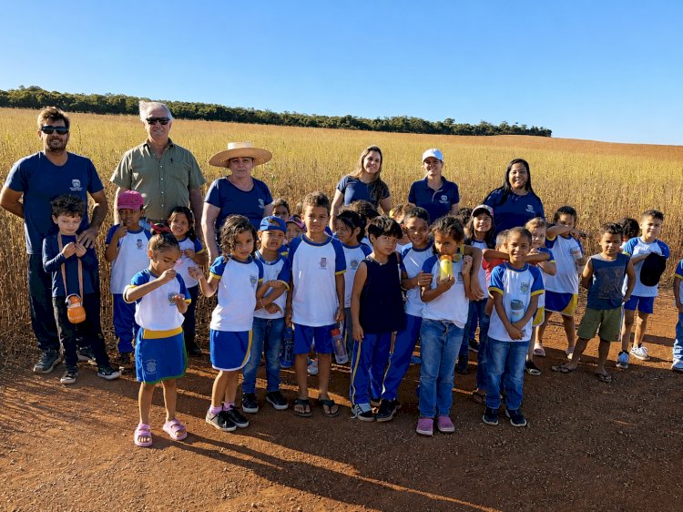 Projeto de Escola Municipal Surpreende ao aproxima crianças da realidade do gergelim em Canarana