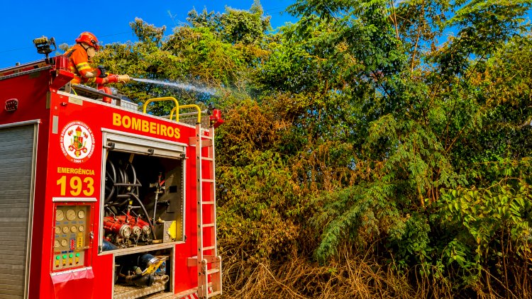 Ação rápida do Corpo de Bombeiros evita propagação de incêndio próximo a lavouras em Canarana