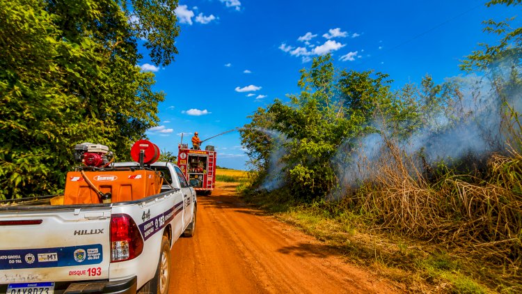 Ação rápida do Corpo de Bombeiros evita propagação de incêndio próximo a lavouras em Canarana