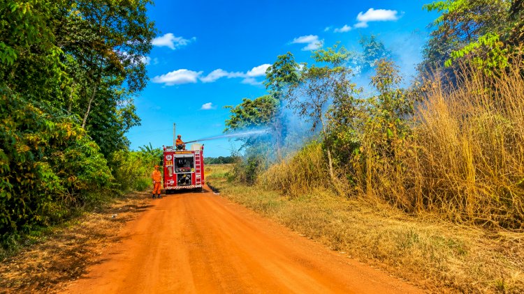 Ação rápida do Corpo de Bombeiros evita propagação de incêndio próximo a lavouras em Canarana