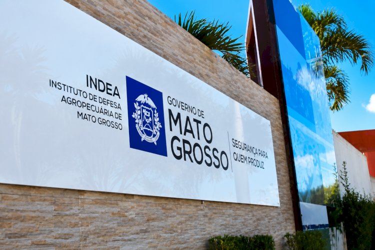 Indea inicia modernização do Sindesa e sistema fica indisponível por quatro dias em agosto