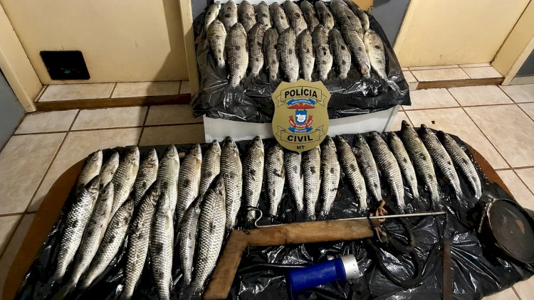 Polícia Civil de Canarana apreende pescado e materiais durante denúncia de pesca predatória no Rio Tanguro